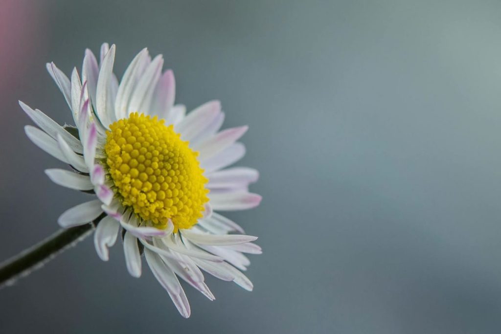 Štetna zračenja i što je to radiestezija