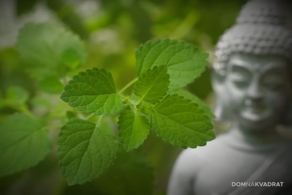 Feng Shui uređenje doma – video